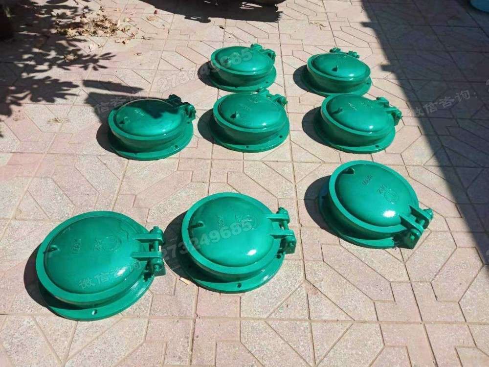 呼兰多规格小型玻璃钢拍门