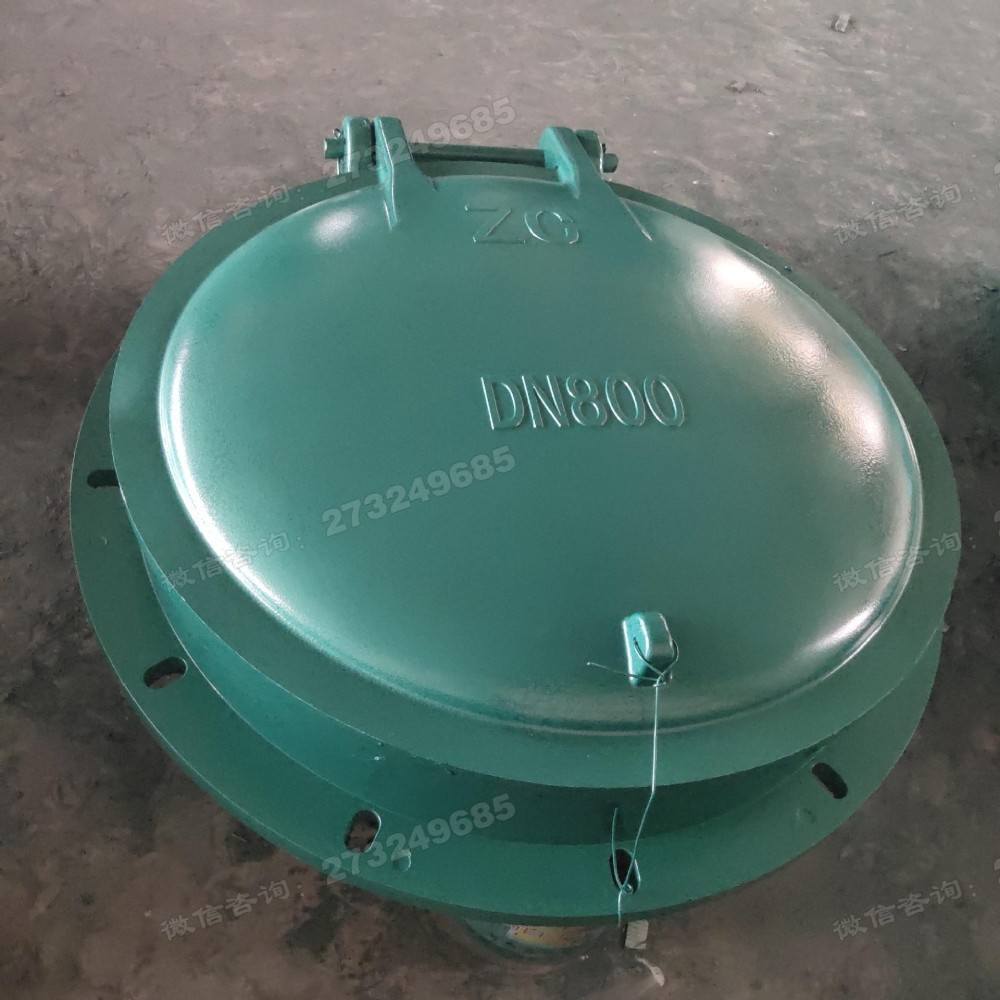 文山州DN800绿色玻璃钢拍门