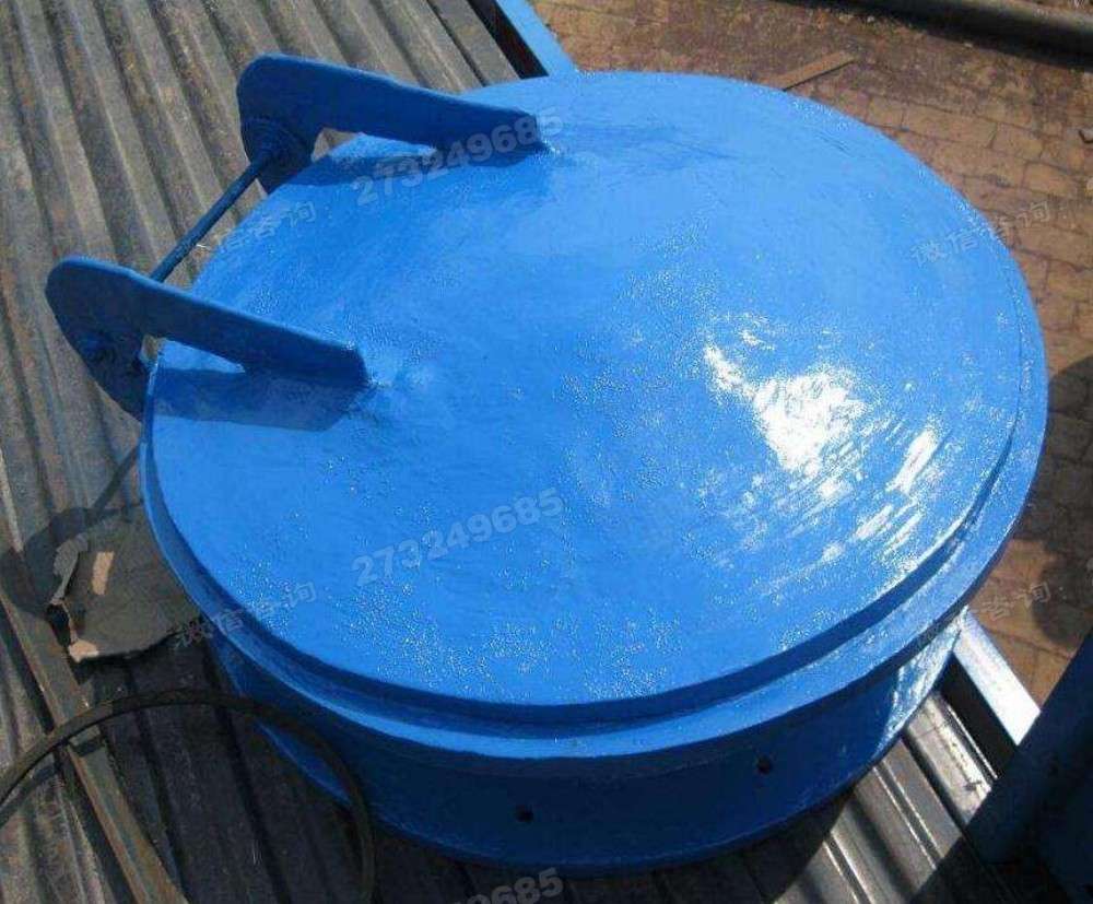 万宁蓝色单开拍门
