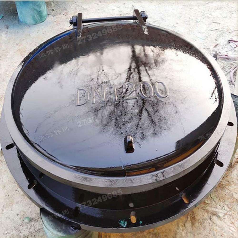 澄海黑色DN1200玻璃钢拍门
