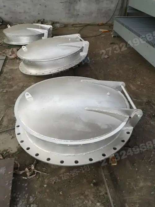 滴道大口径不锈钢拍门