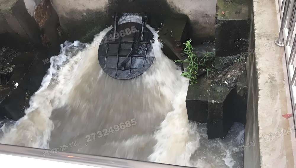 东阳工业排水拍门