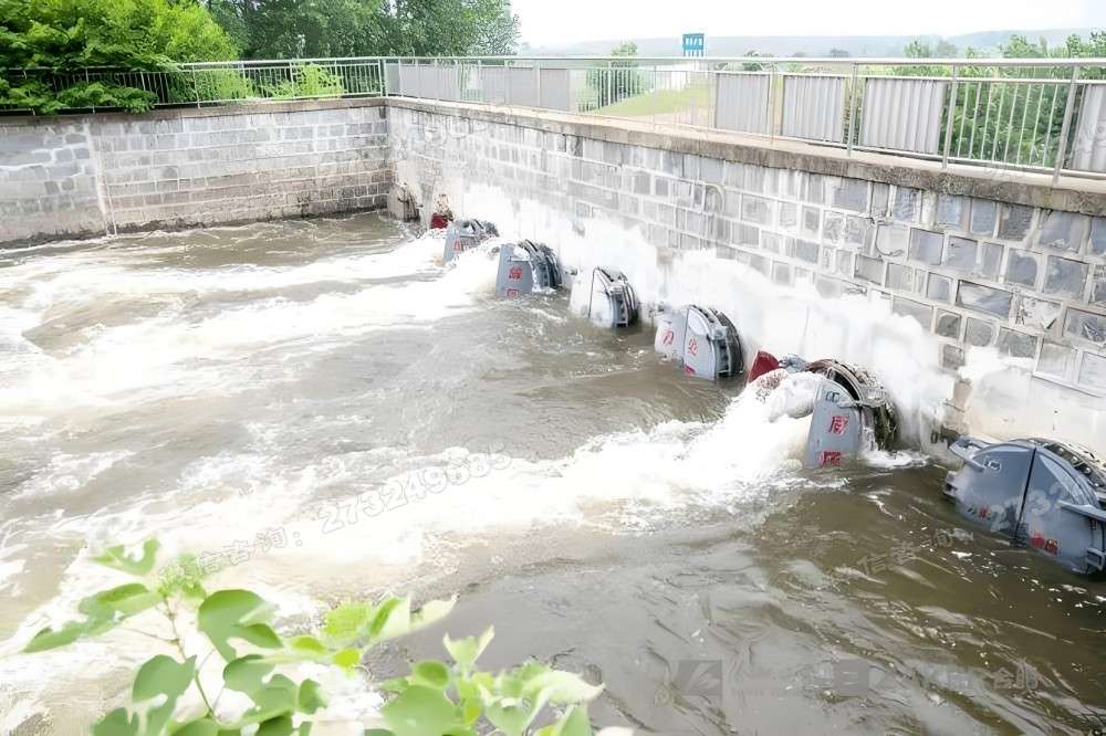 沙市河道治理侧开拍门