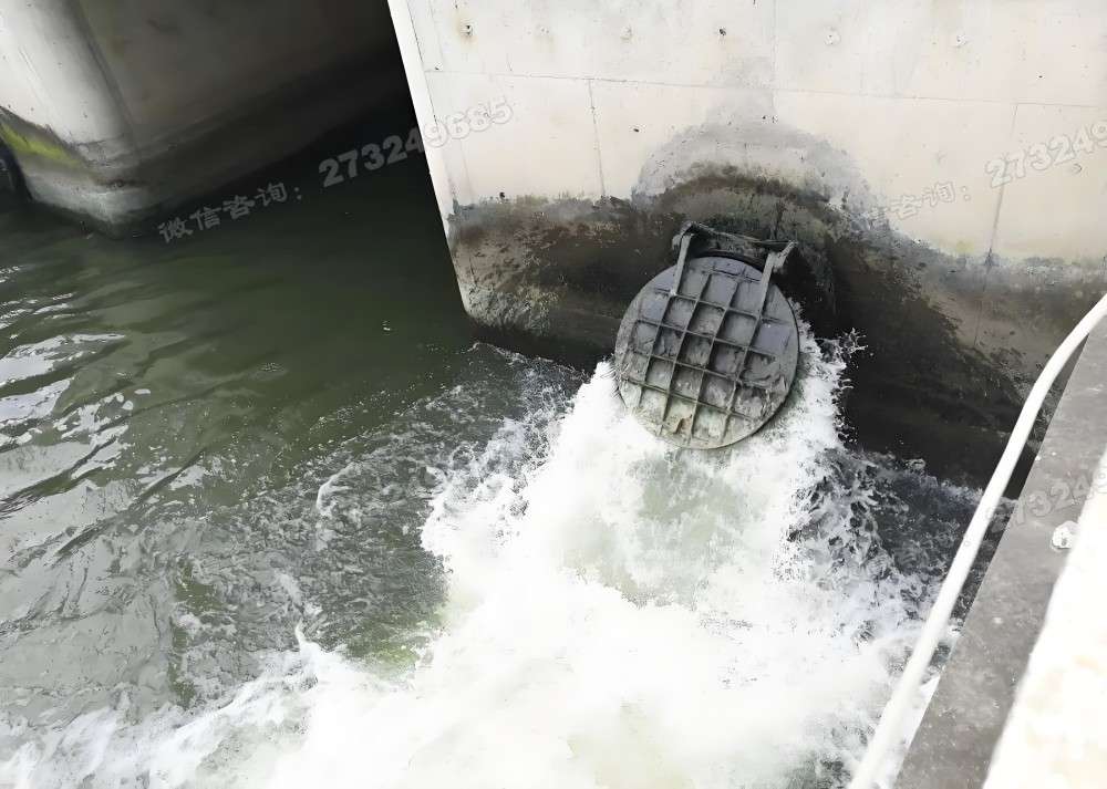 河南污水排放口拍门