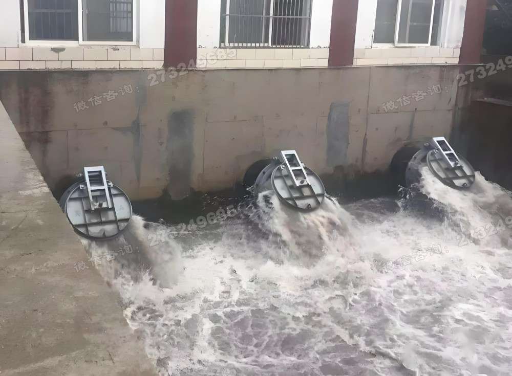 庐山三联排水拍门