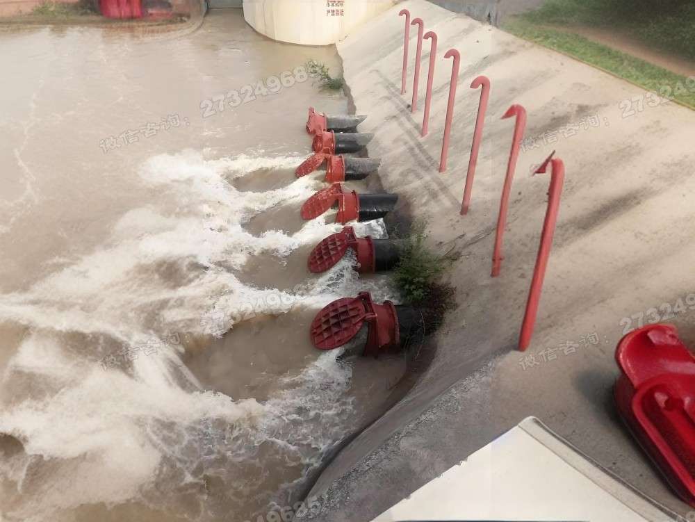 环翠污水厂拍门