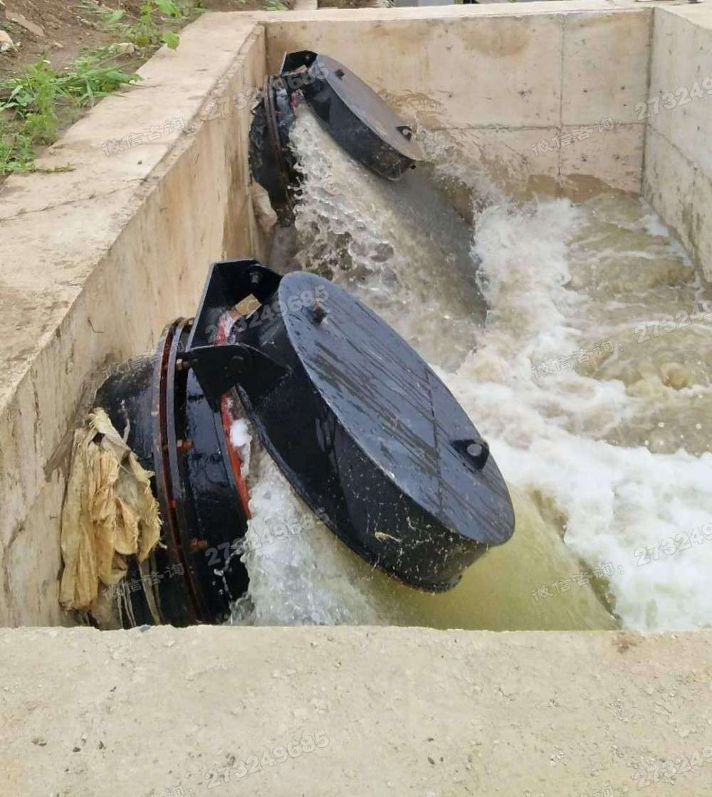 怀宁县河道排水拍门
