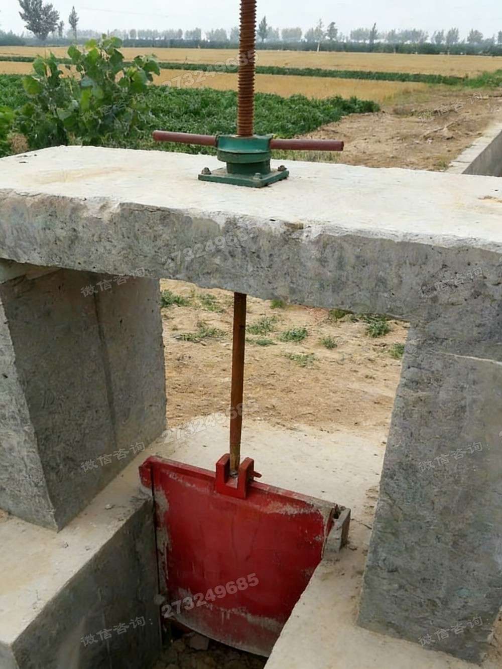 赤壁双联电动闸门