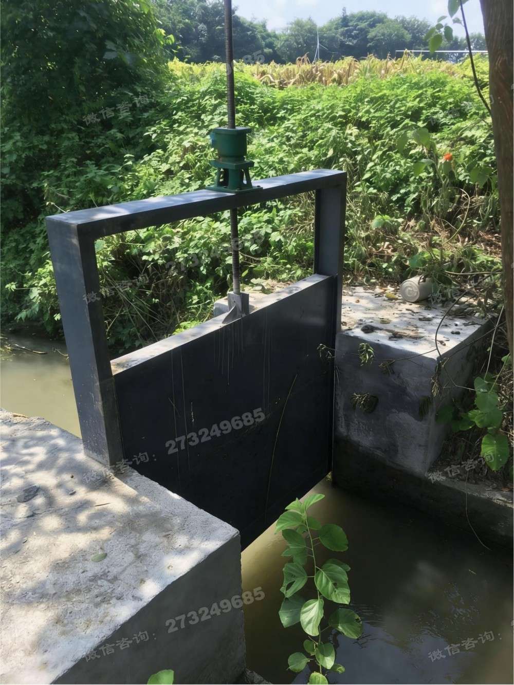 滴道菜园灌溉钢制闸门